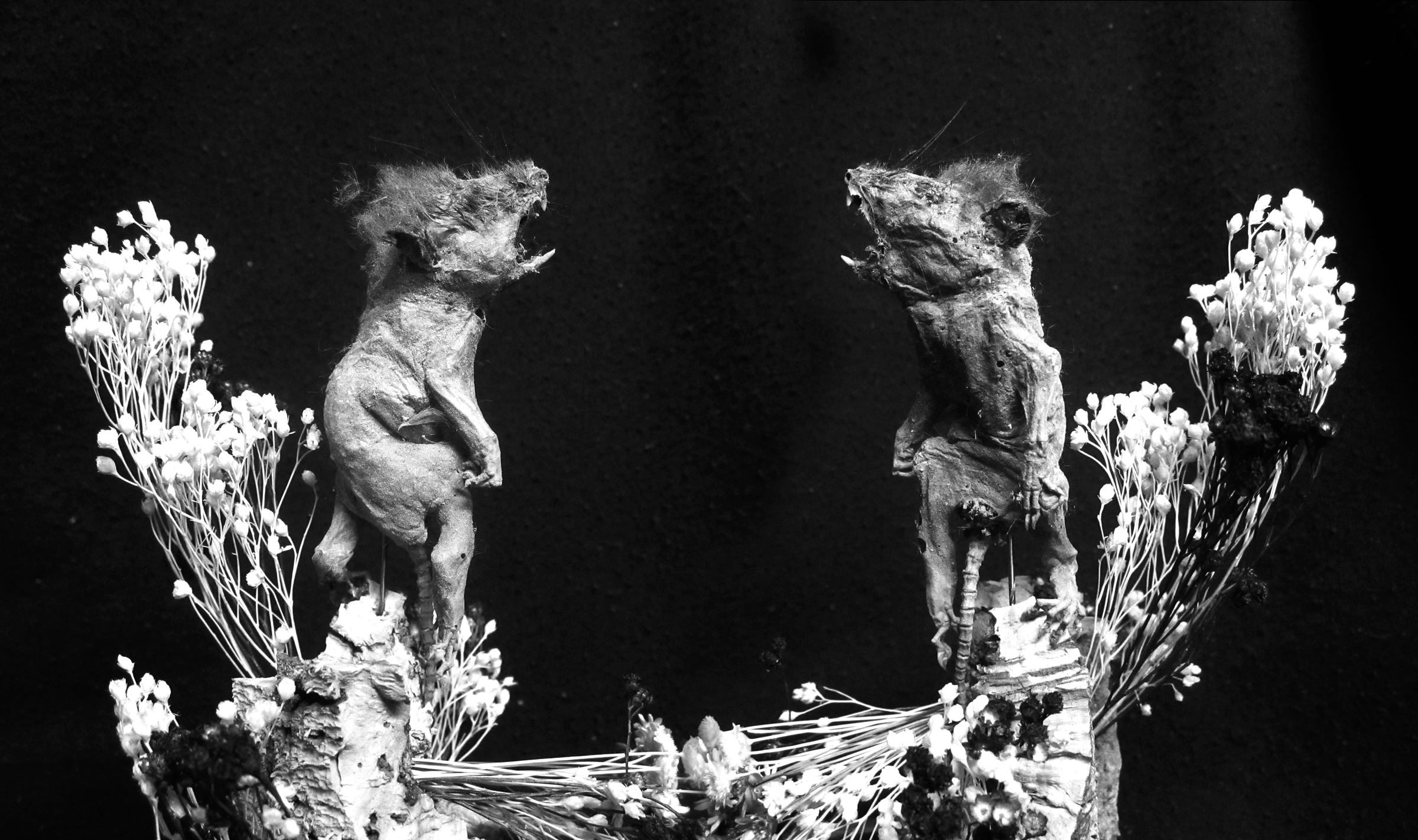 Desiccated Taxidermy Mummy Mouse in a Bell Jar (for Your Wunderkammer)