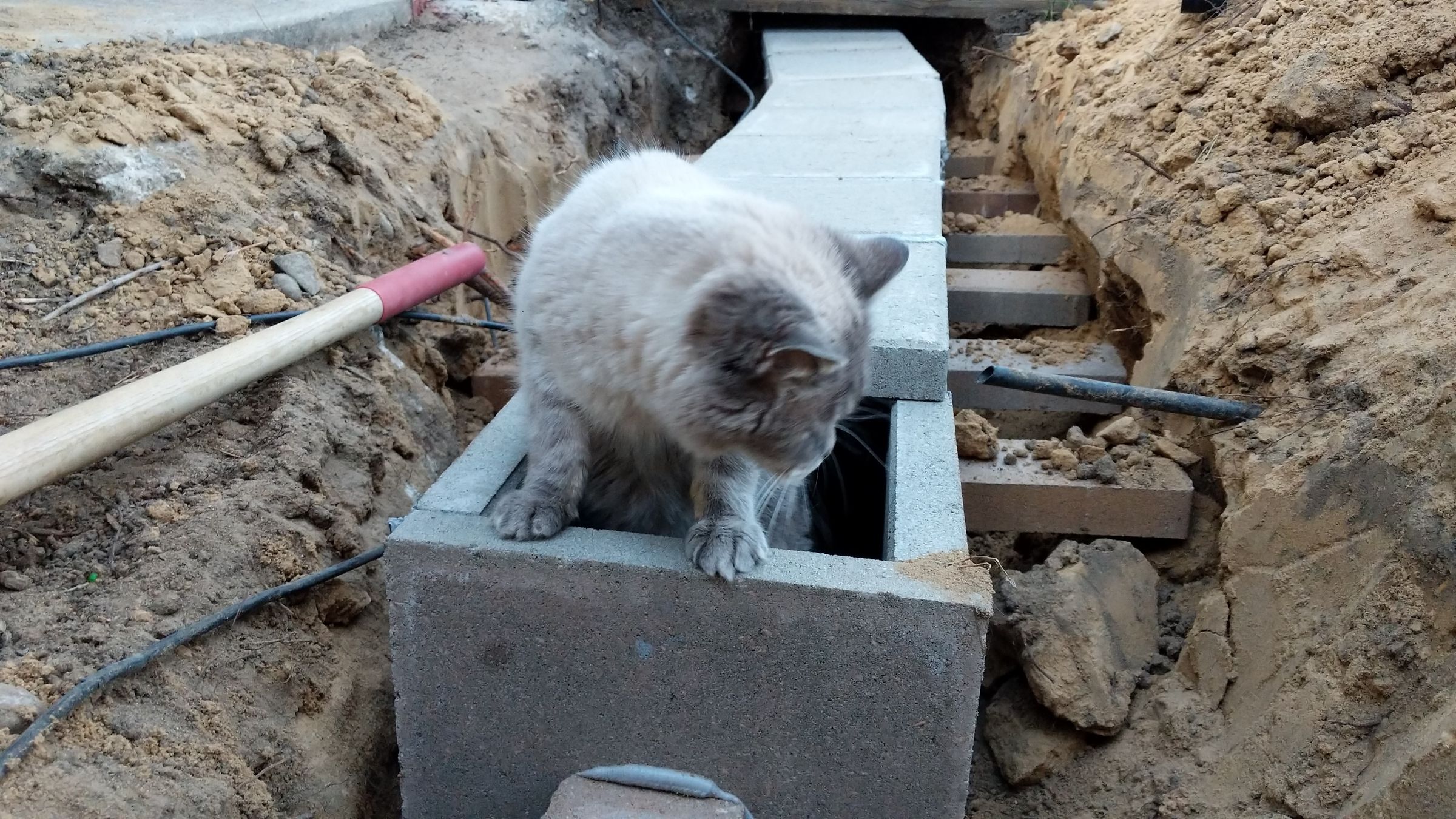 Underground Cat Tunnel 18 Steps Instructables