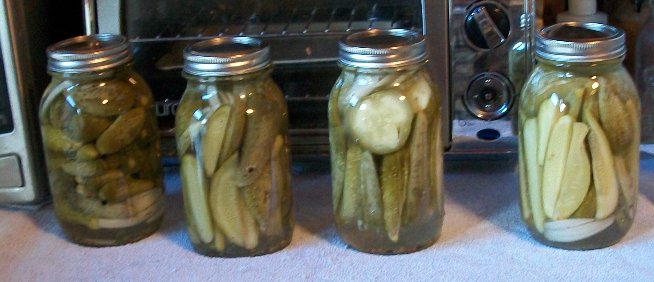 Not Entirely Kosher Dill Pickles