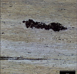 Final Analysis Before Final Test