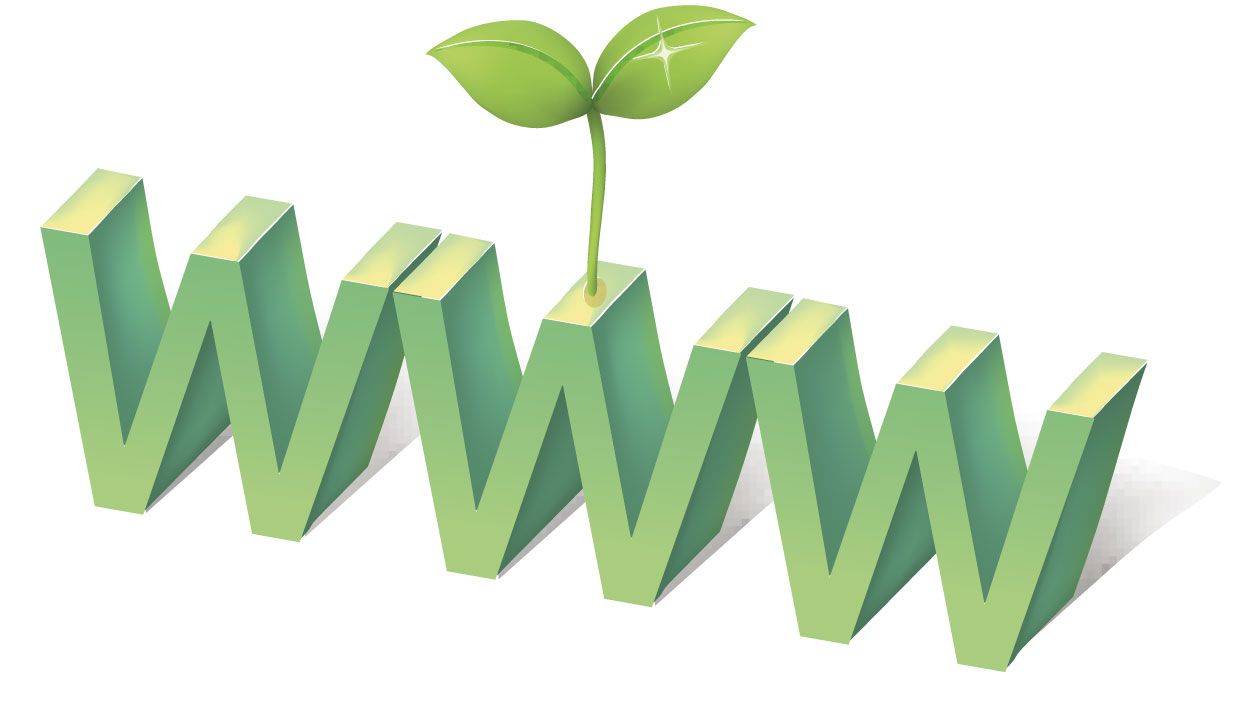 The Holistic View of Website Hosting