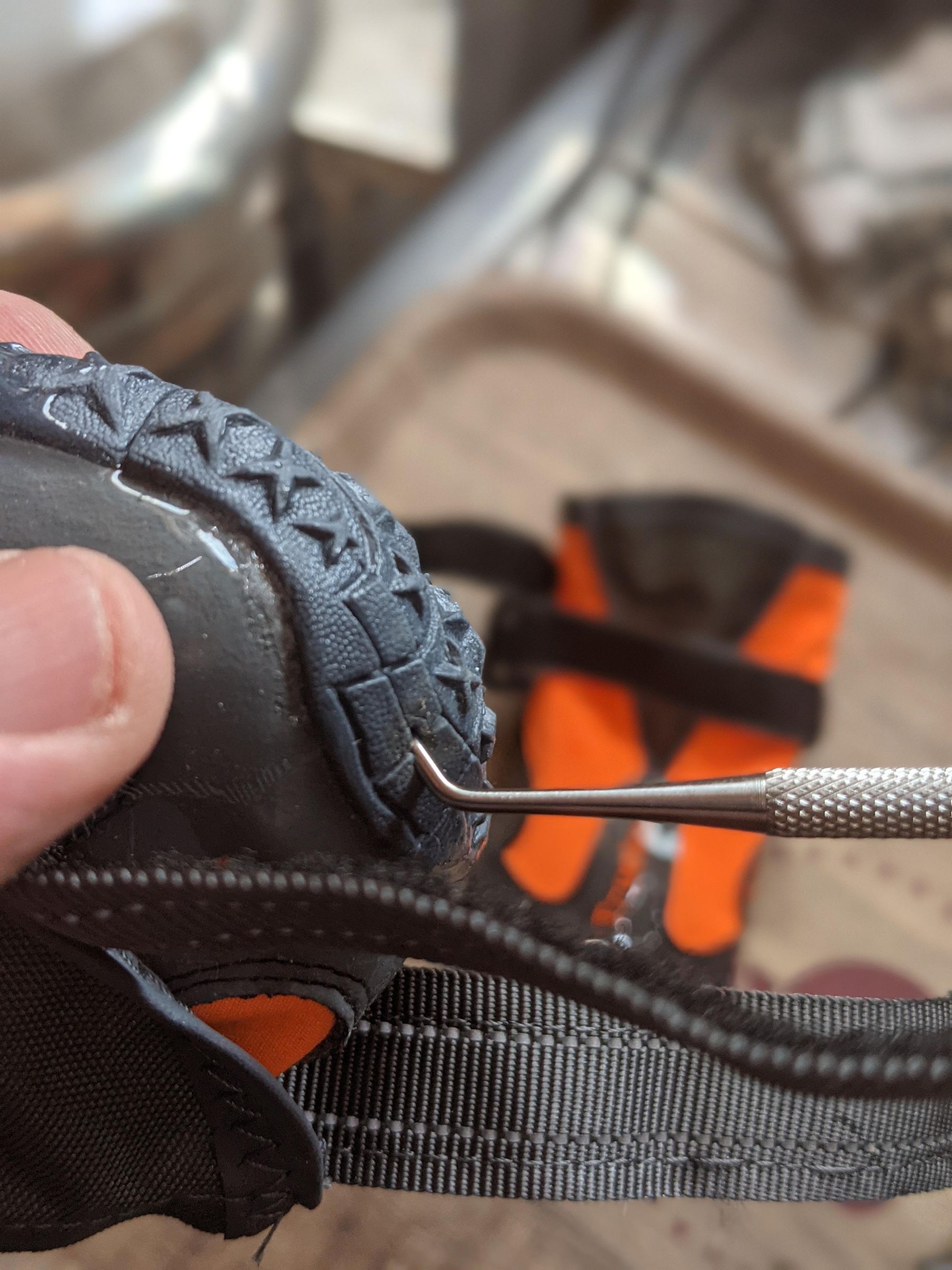 AntiKnucking Shoes for Dogs With Degenerative Myelopathy 7 Steps