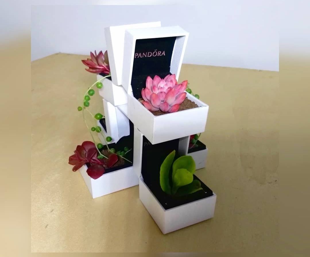 Jewel Plants Composition Realized With Empty Jewelry Boxes