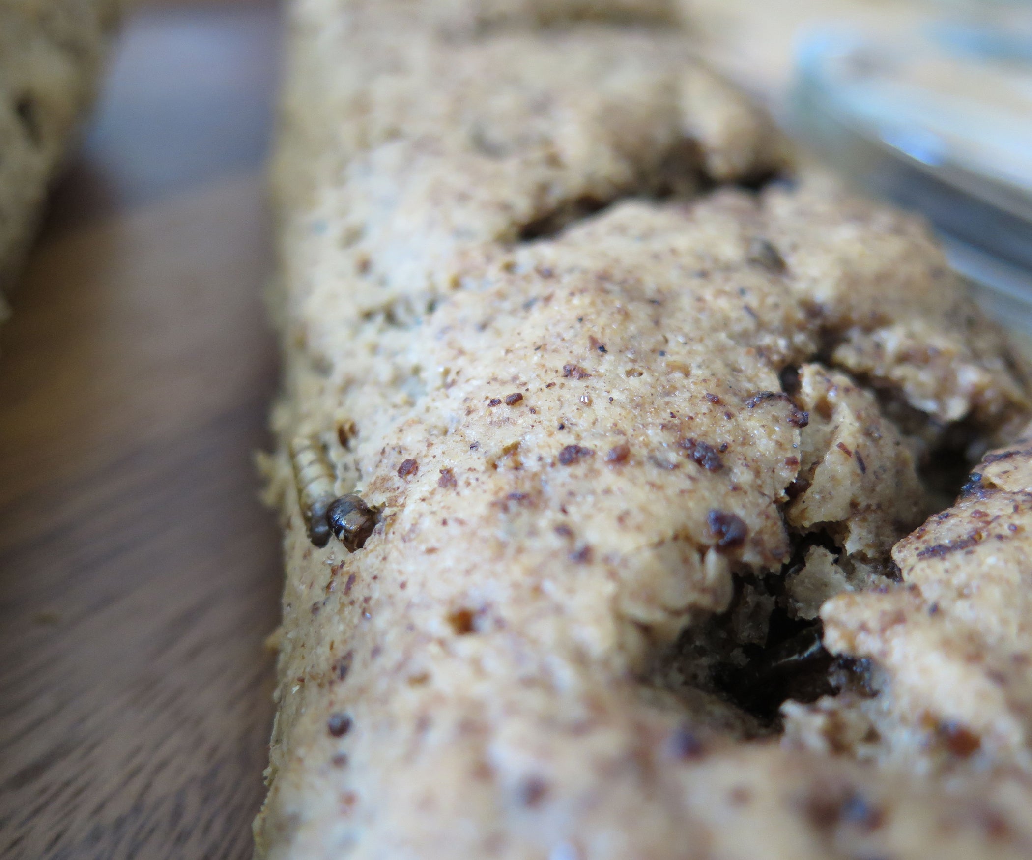 Mealworm French Bread.. Gluten Free 12 Steps (with Pictures