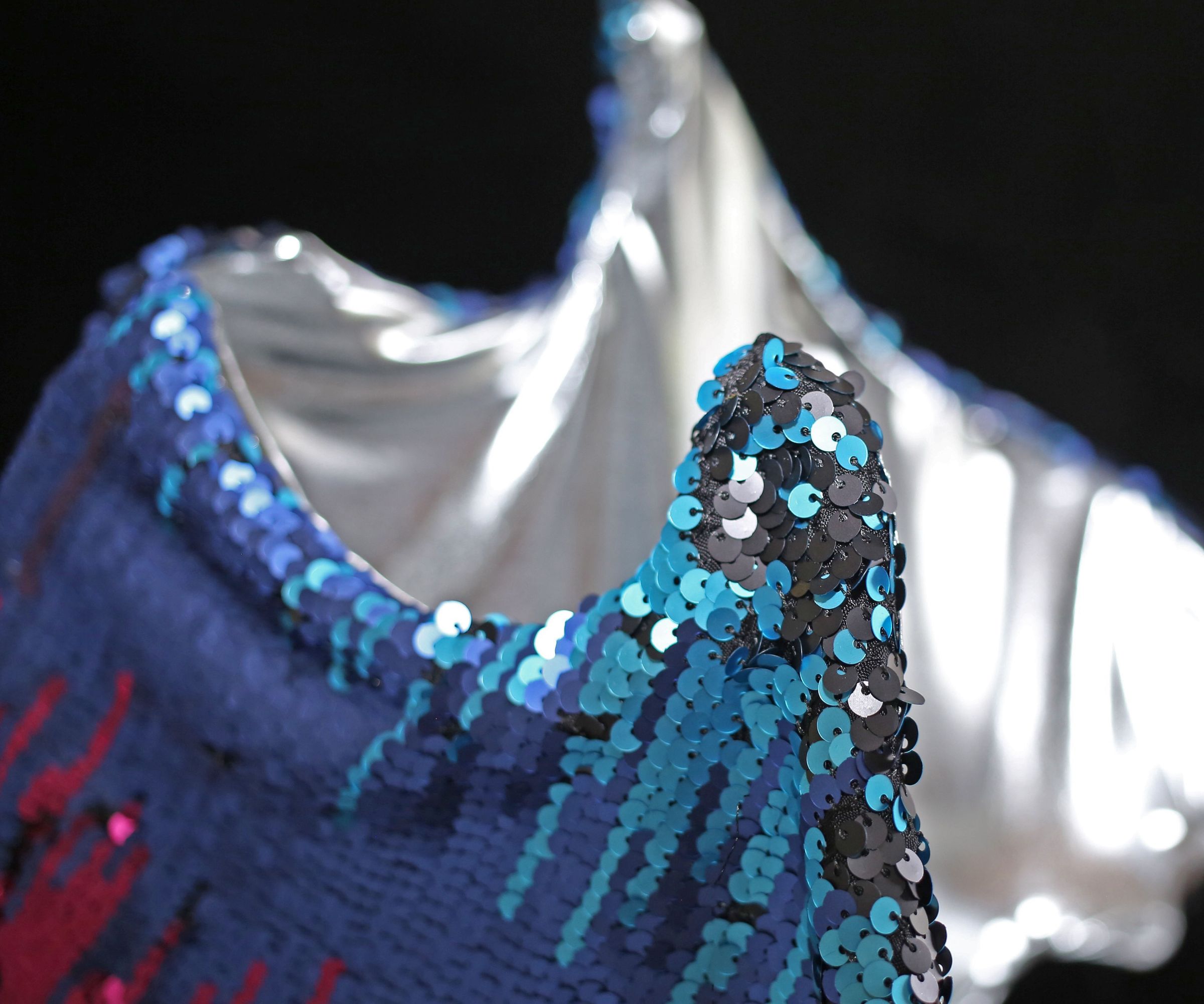 Dragon Costume Wings