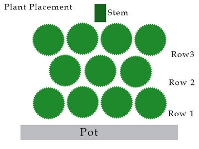 Adding Air Plants to Body