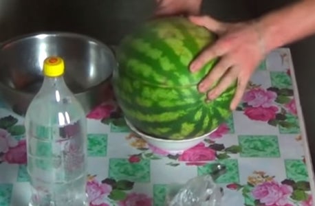 To Do a Mega CRAZY Experiment With a Watermelon You Need!