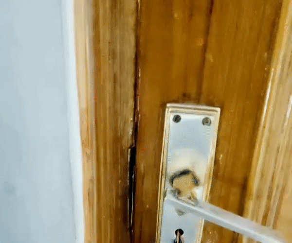 Touchless Door Opener