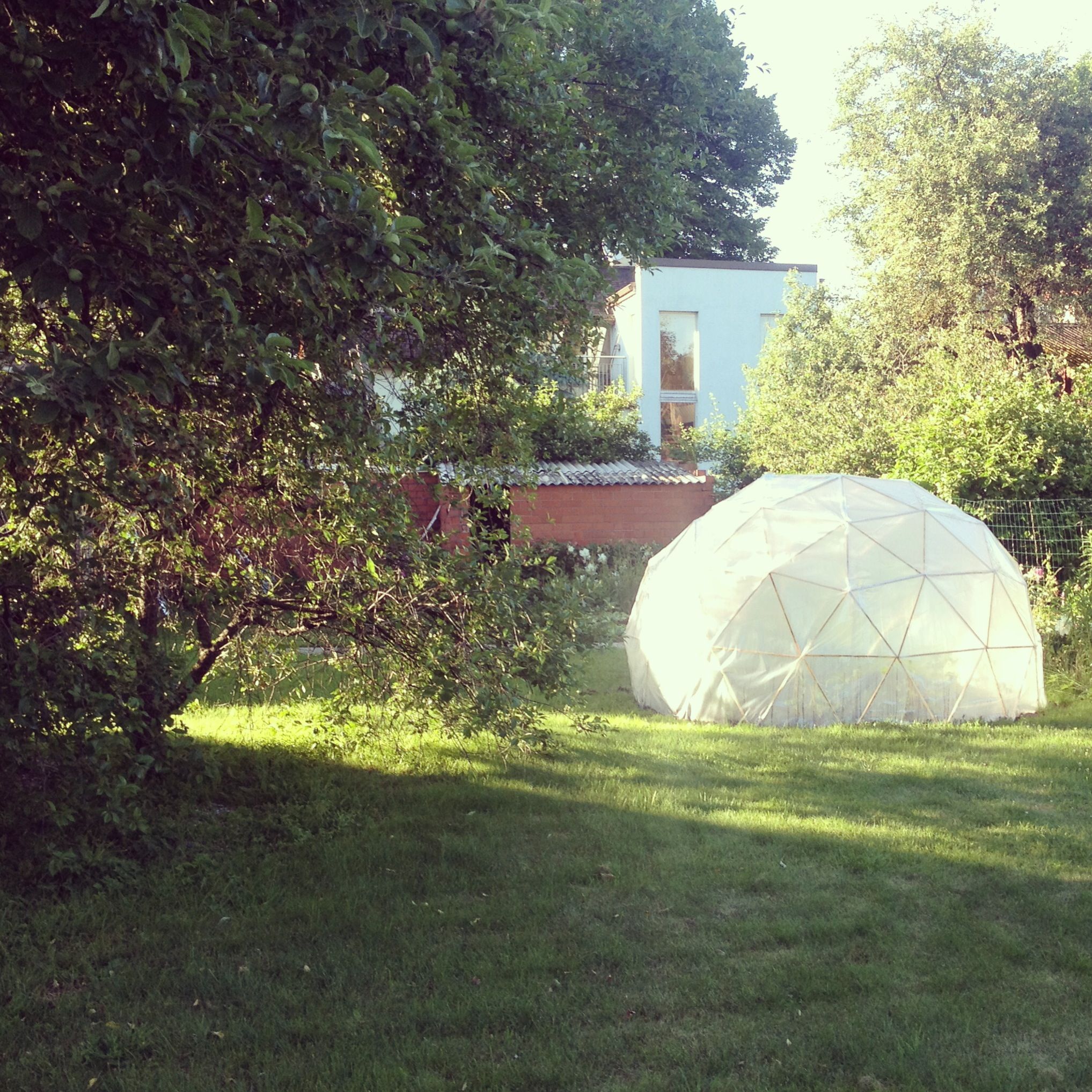 Greenhouse - Geodesic Dome