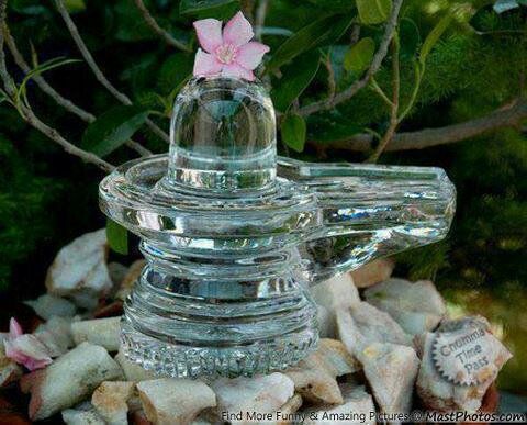 Puja- the Worshipping of God for Our Well Being!