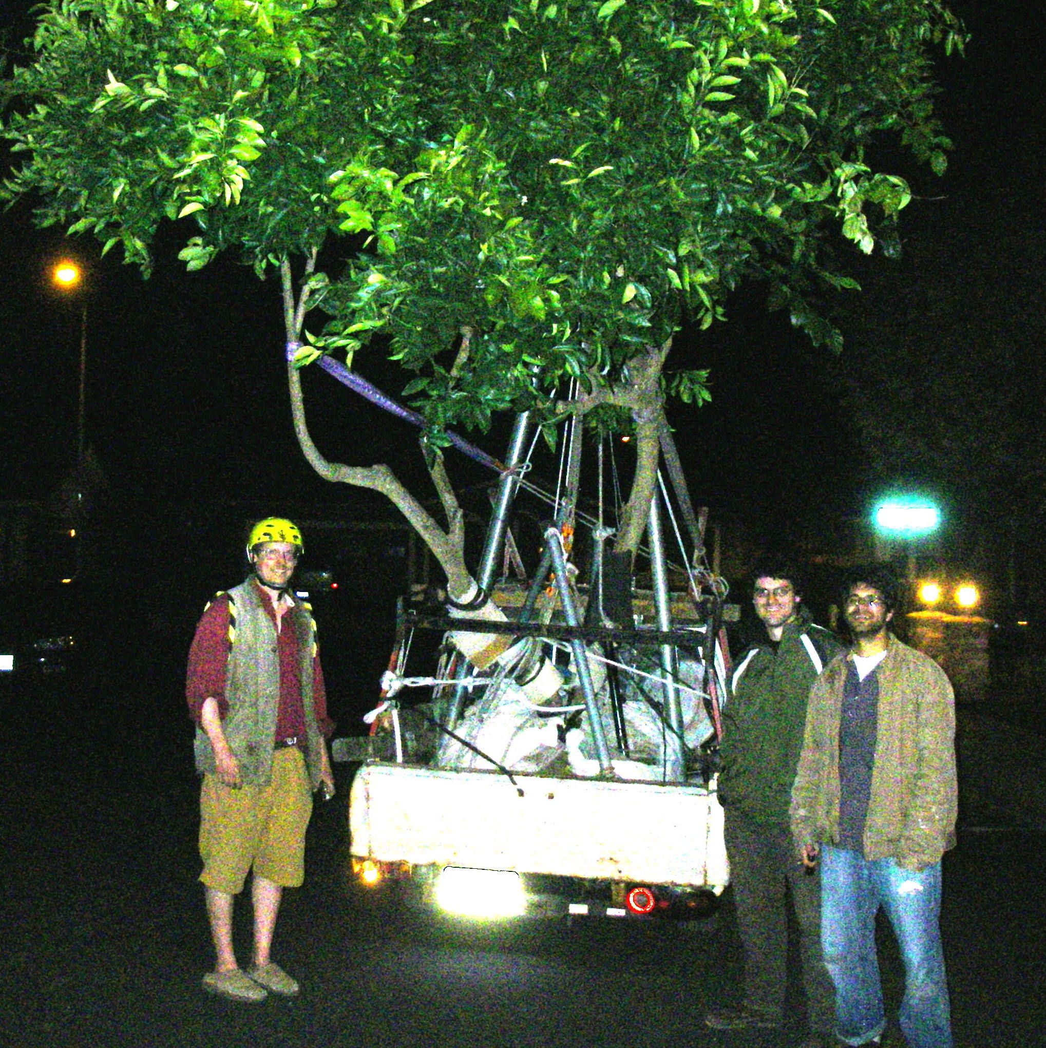 How to Move a Tree, Vehicle and A-frame Method : 17 Steps (with ...