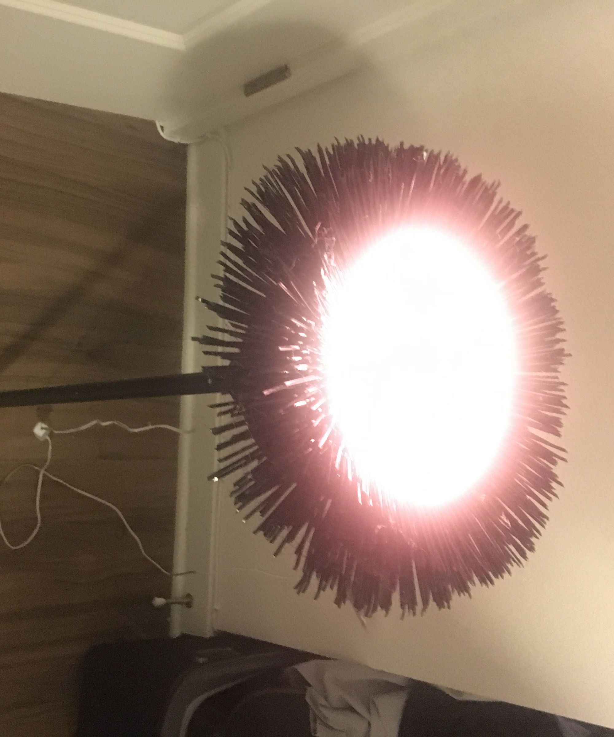 Sea Urchin Light