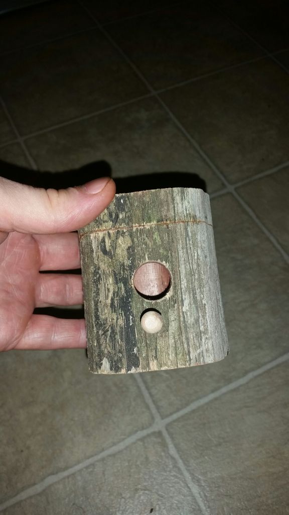 Build Hummingbird Nesting Box How To Make A Hummingbird Nesting Box