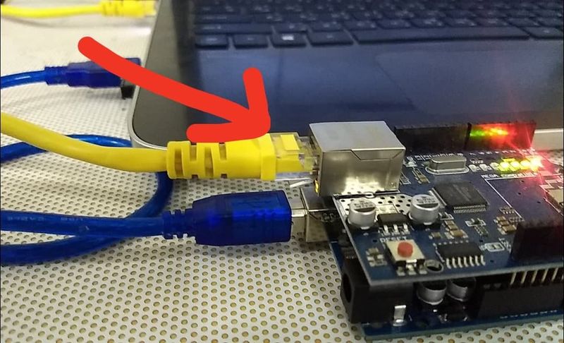 Enable Network Connection