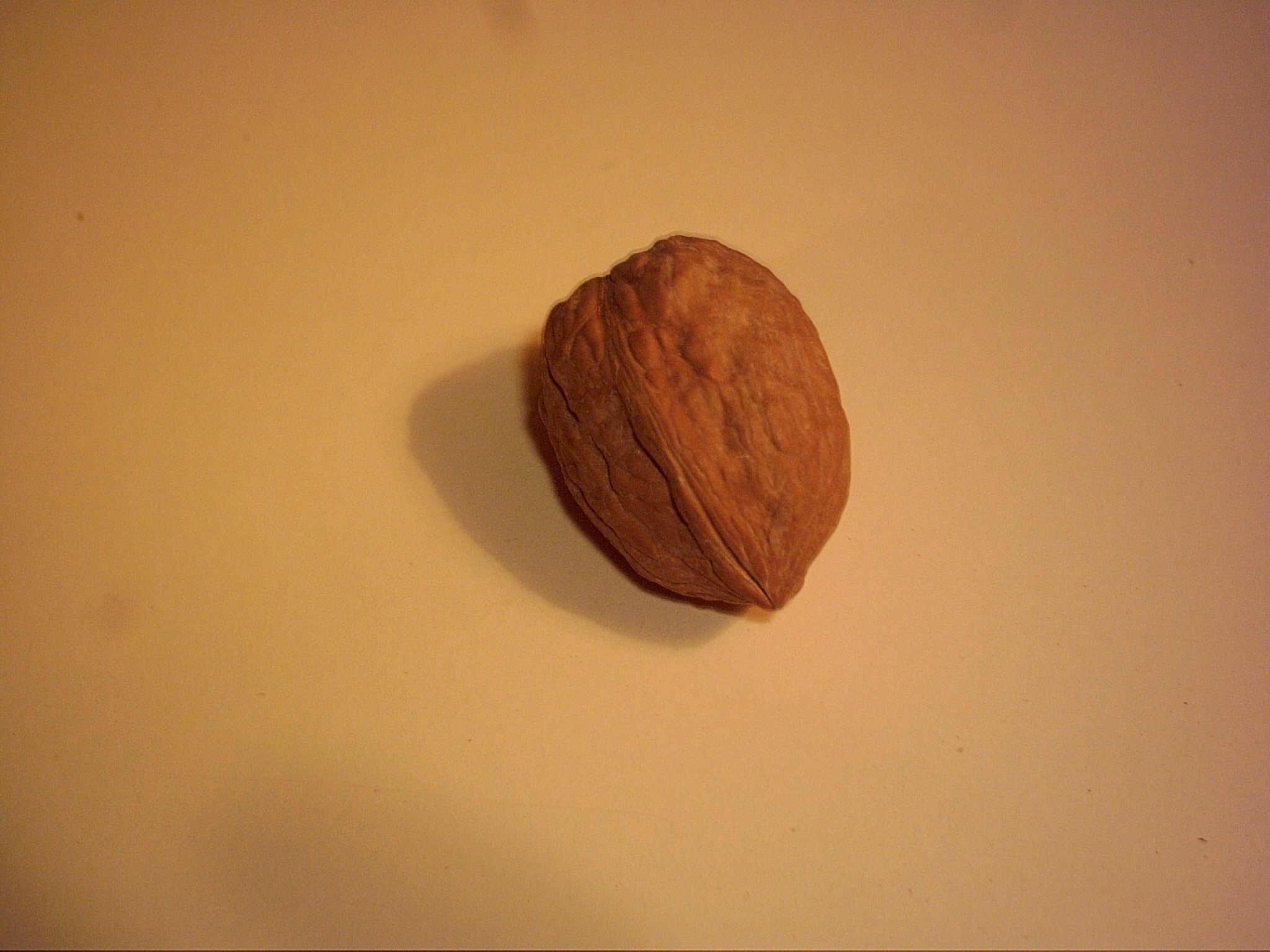 Walnut Surprise Gift Packaging!