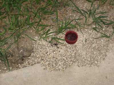 Fill and Deploy Ant Baits!