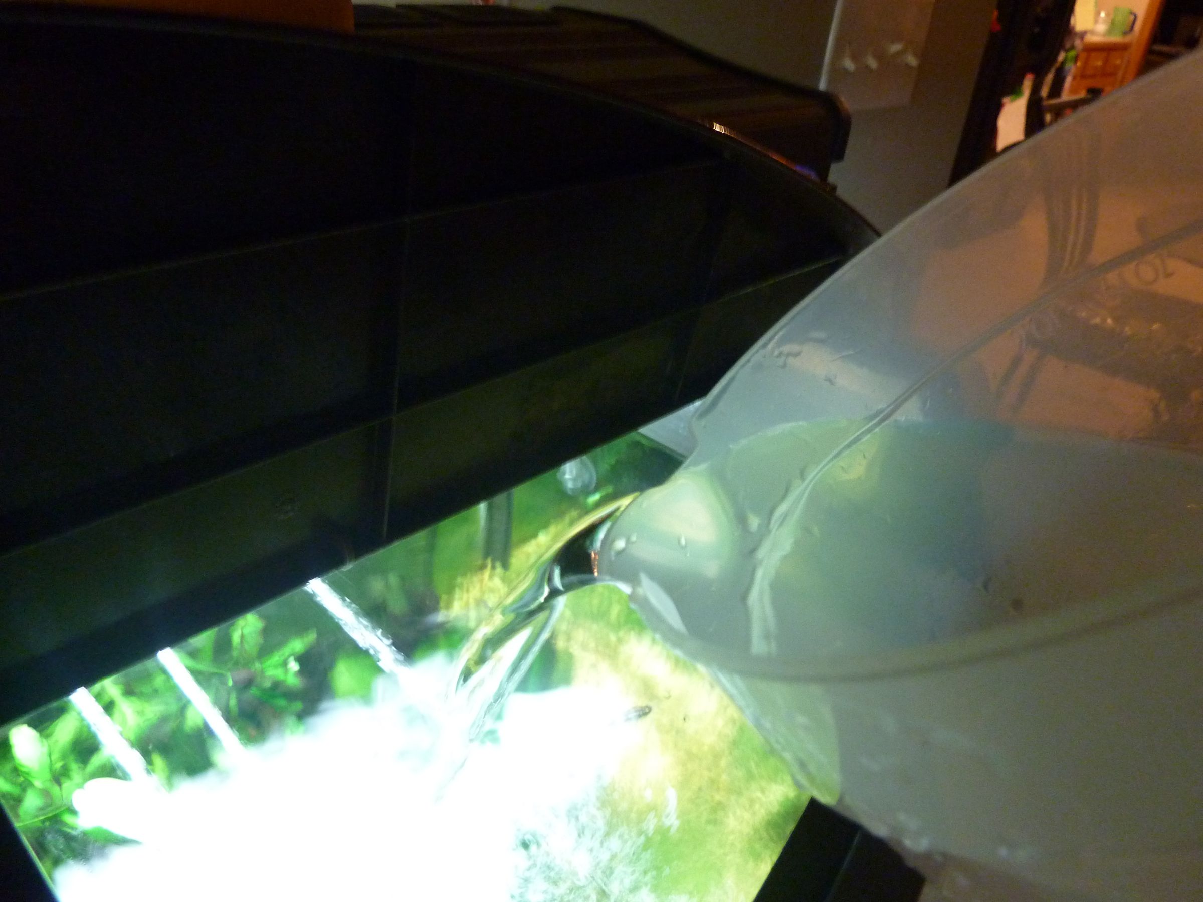 How to Do Complete Routine Aquarium Maintenance 5 Steps Instructables