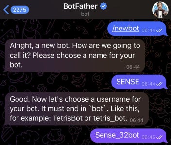 Setting Up the Telegram Bot:
