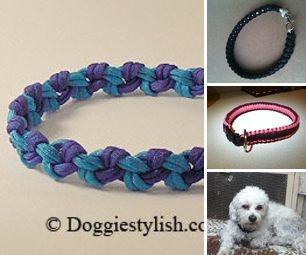 Dog Projects