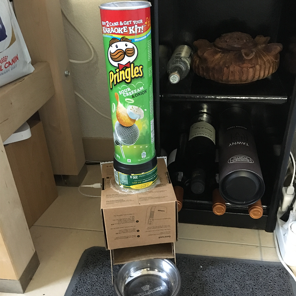 Diy automatic cat feeder best sale