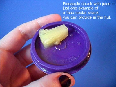 Hatching and Release