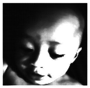 Pointillist Digital Picture