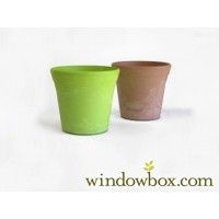 Make Plants As an Ornament With the Use of Beautiful Pots and Planters