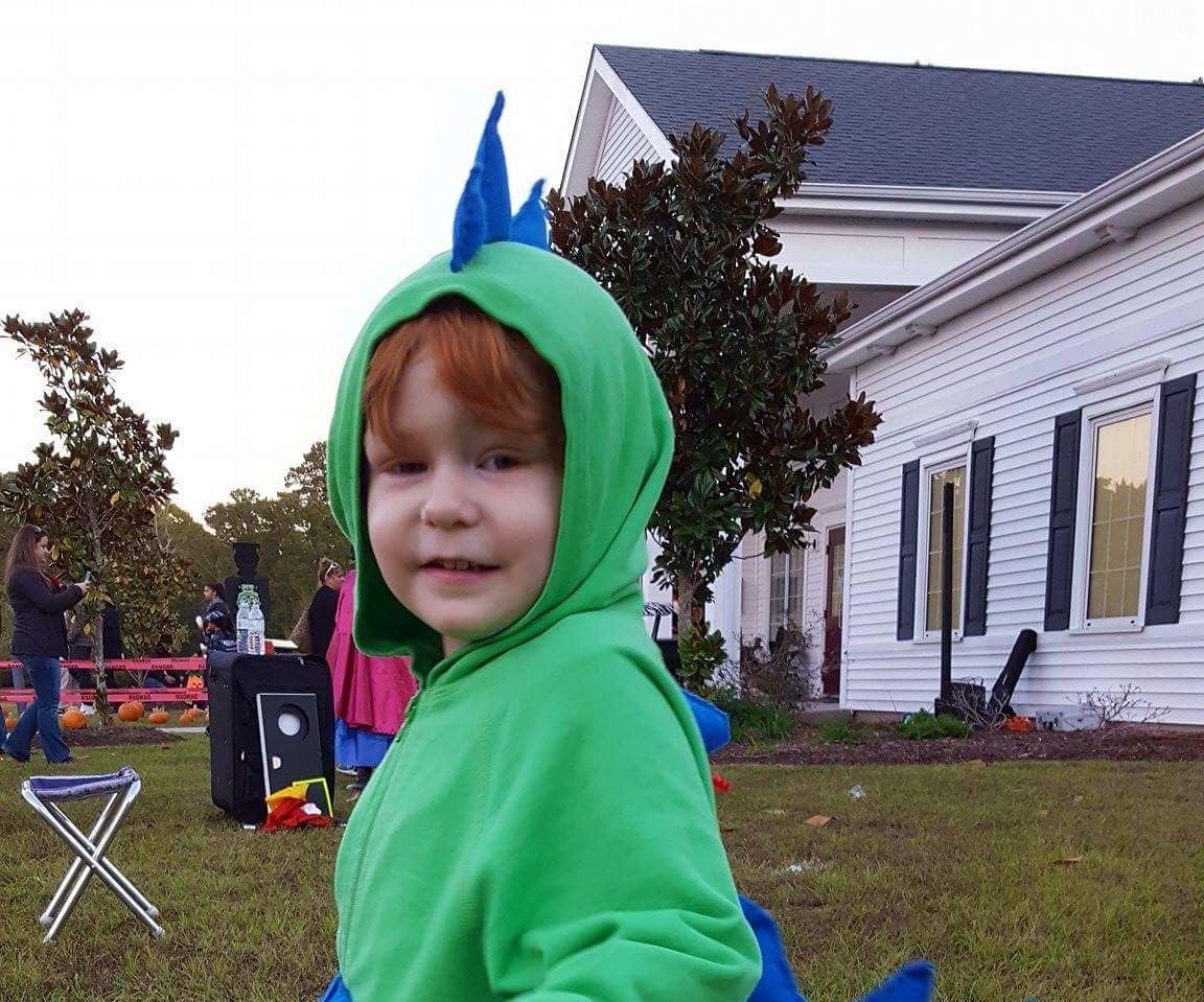 Diy Dinosaur Costume.