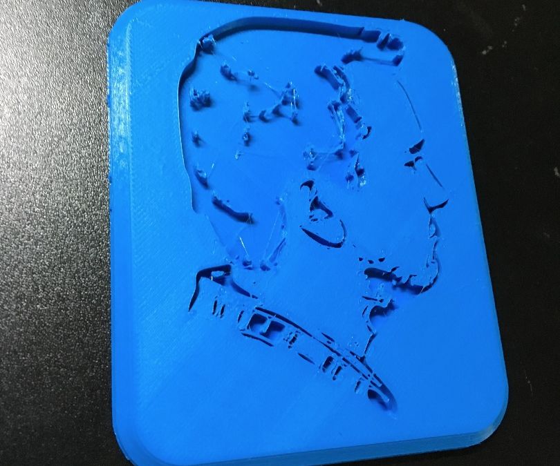 3D Printed Portrait