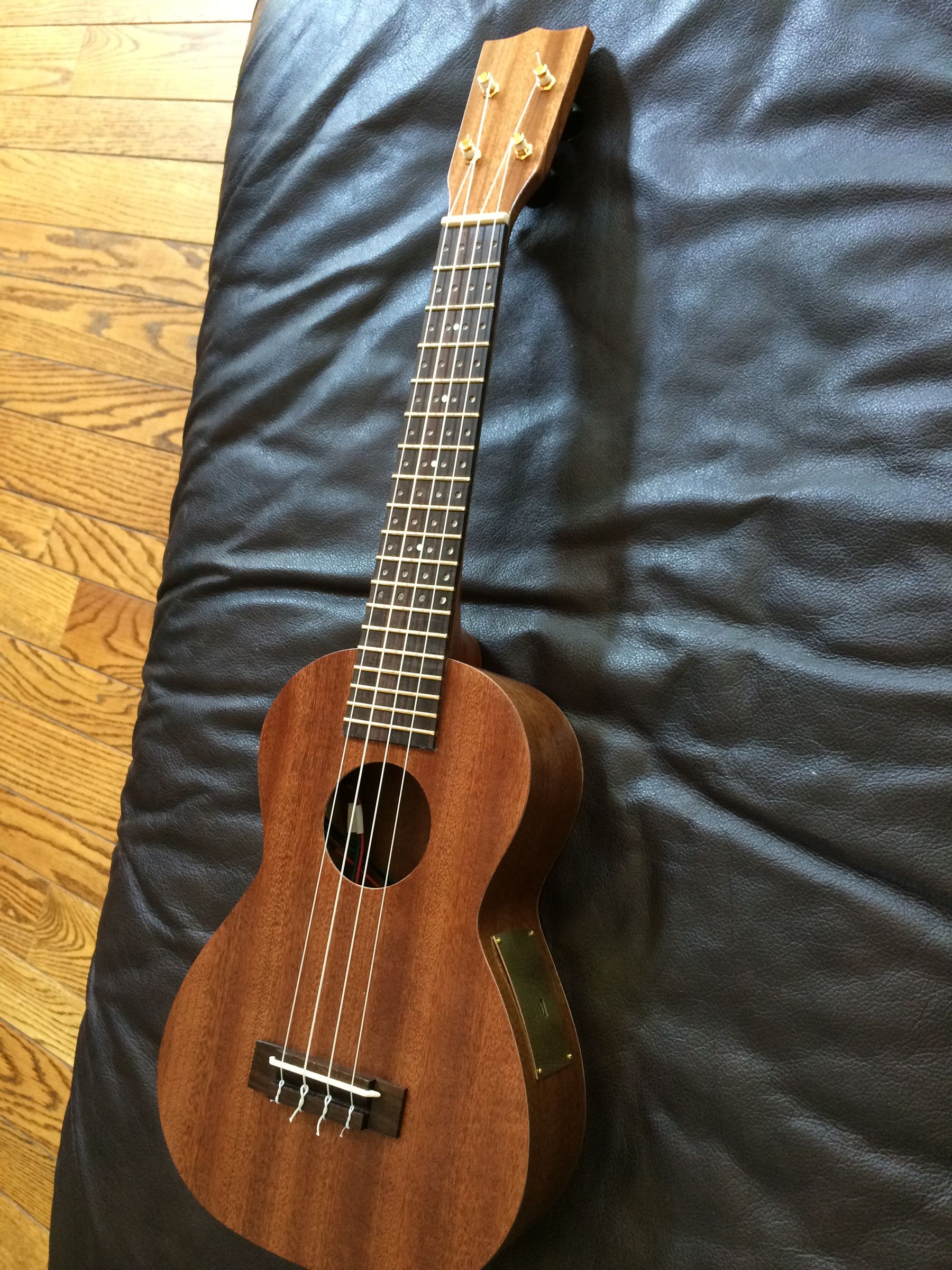 How to Build a Lightup Ukulele! 21 Steps Instructables