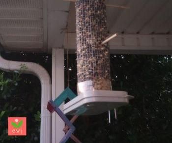 Wire Mesh Birdfeeder