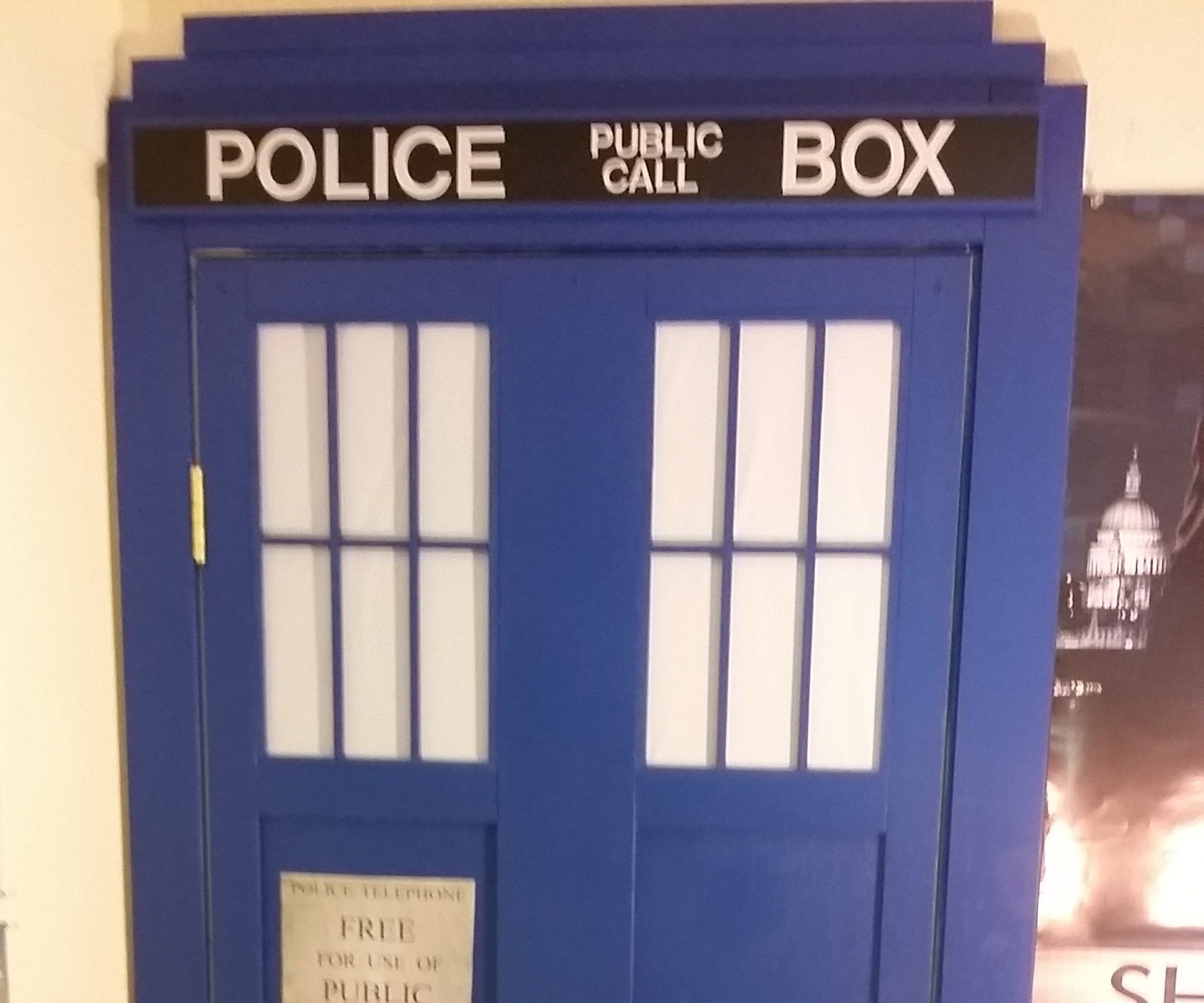 Dr. Who Door Skin