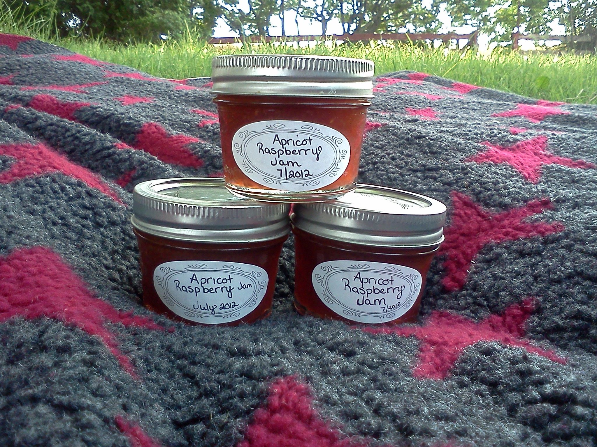Apricot Raspberry Jam