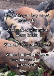 The Plan: Start, Be Nimble, Be Creative