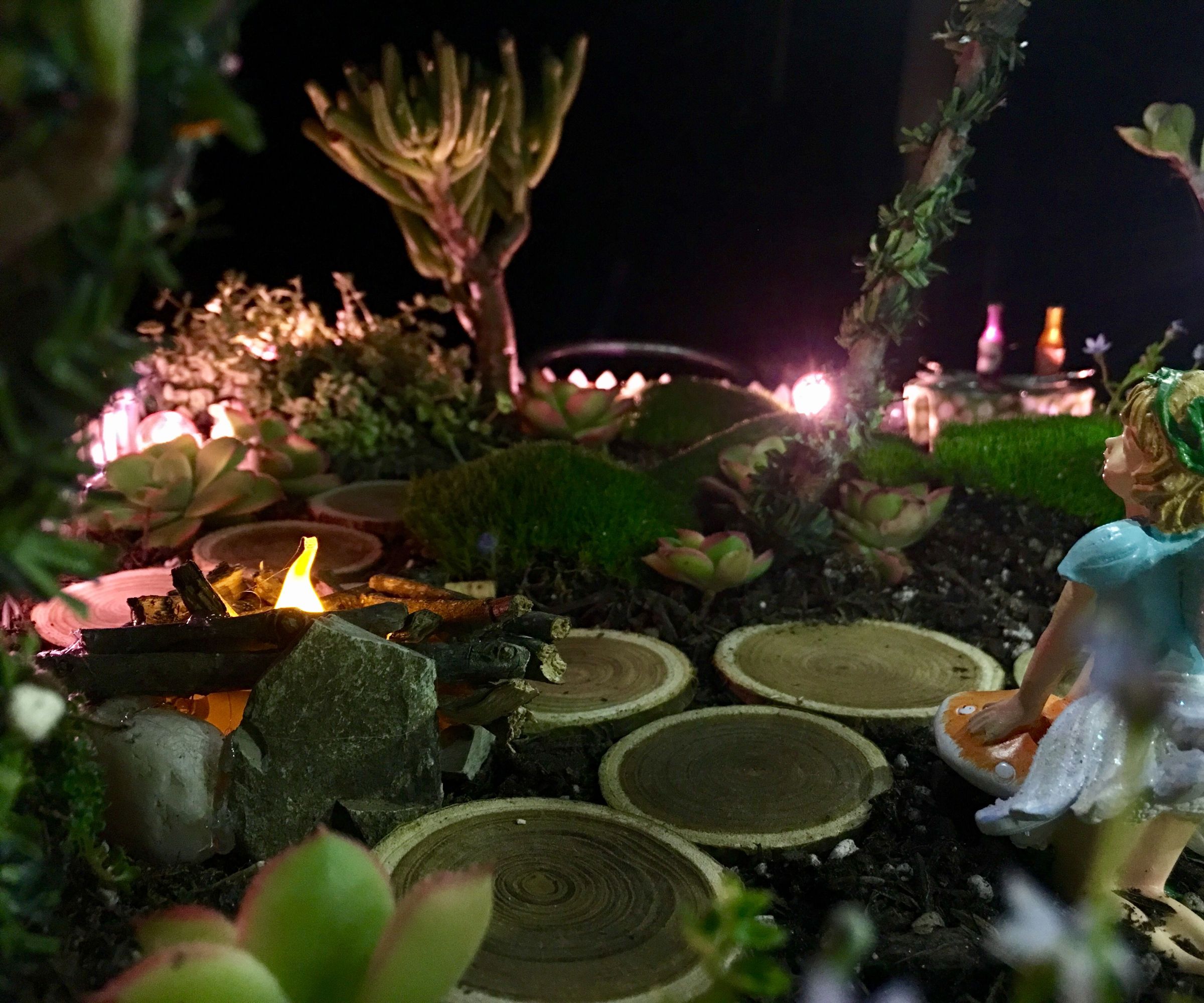 a Magical Lighted Fairy Garden!