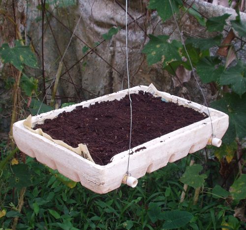 HANGING GRAPE BOX PLANTERS