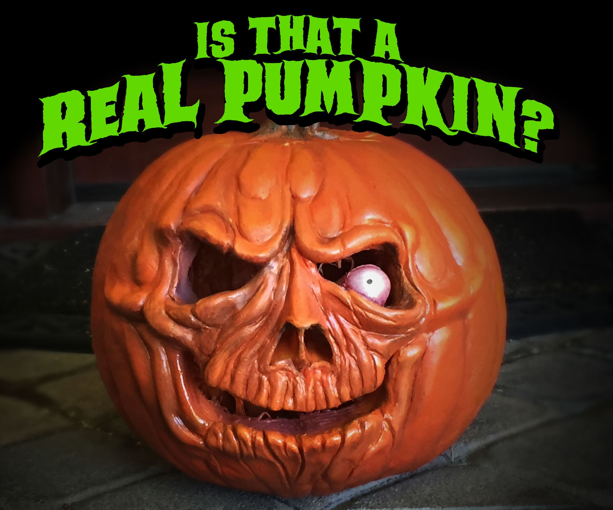 Is that a REAL pumpkin??? Yes, it is!