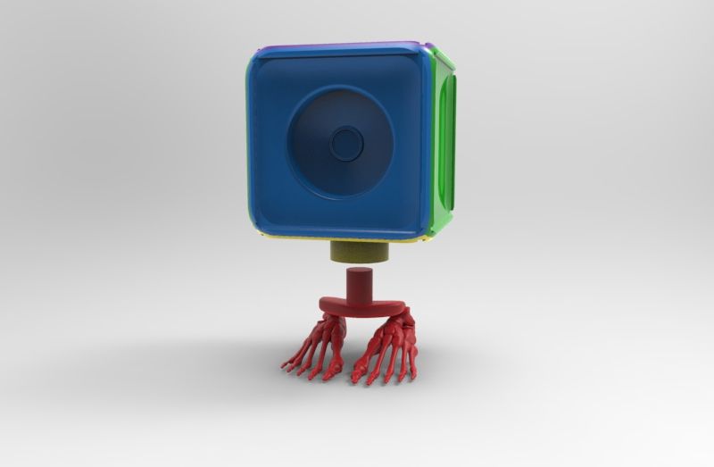 Feet Bones Swiveling Stand