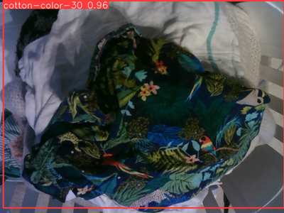 Assigning the Laundry to a Washing Program