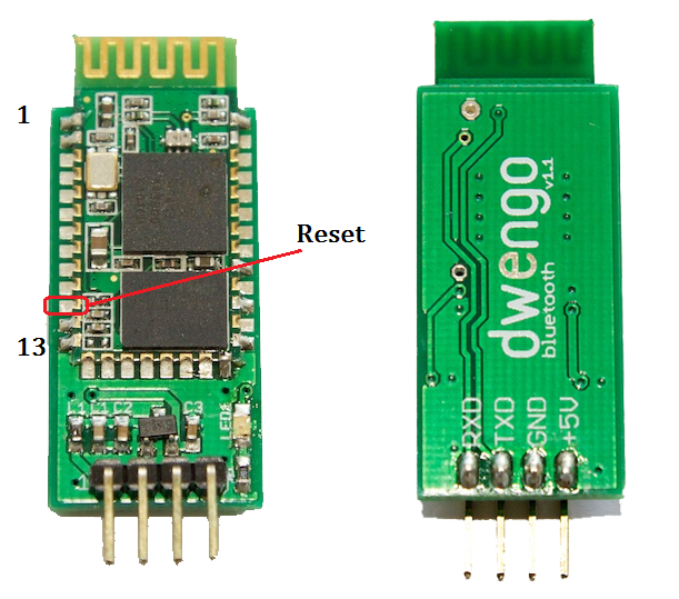 The Pins