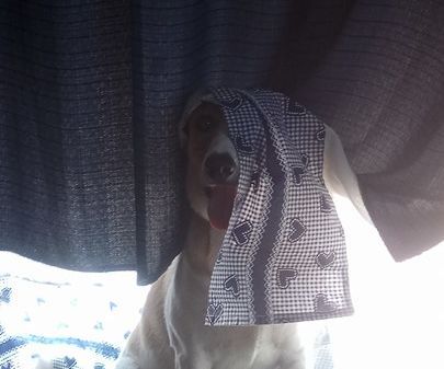 6 Simple Hiding Spots