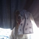 6 Simple Hiding Spots