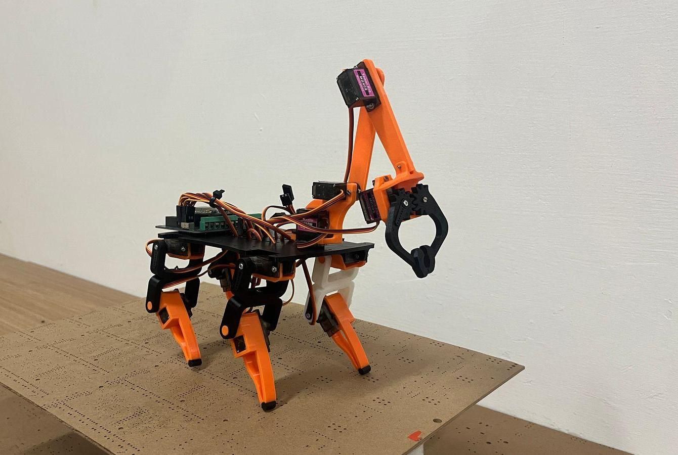 DIY Robotic Arm