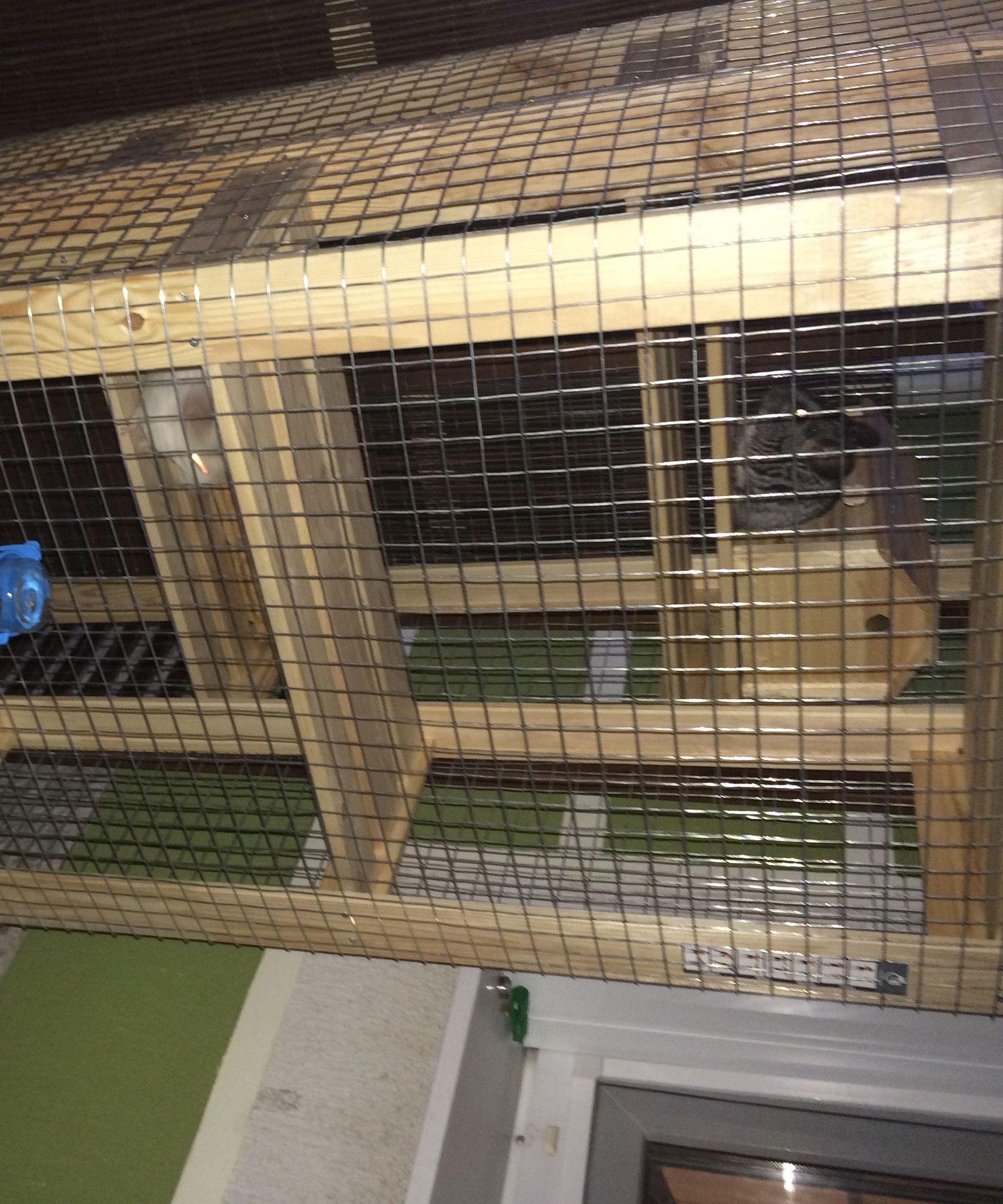 Chinchilla Chillout House