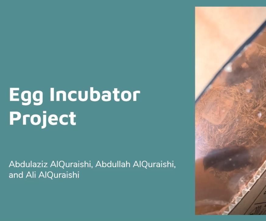 Egg Incubator Project Abdullah AlQuraishi