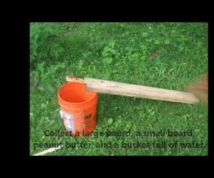 The Bucket Fall Trap