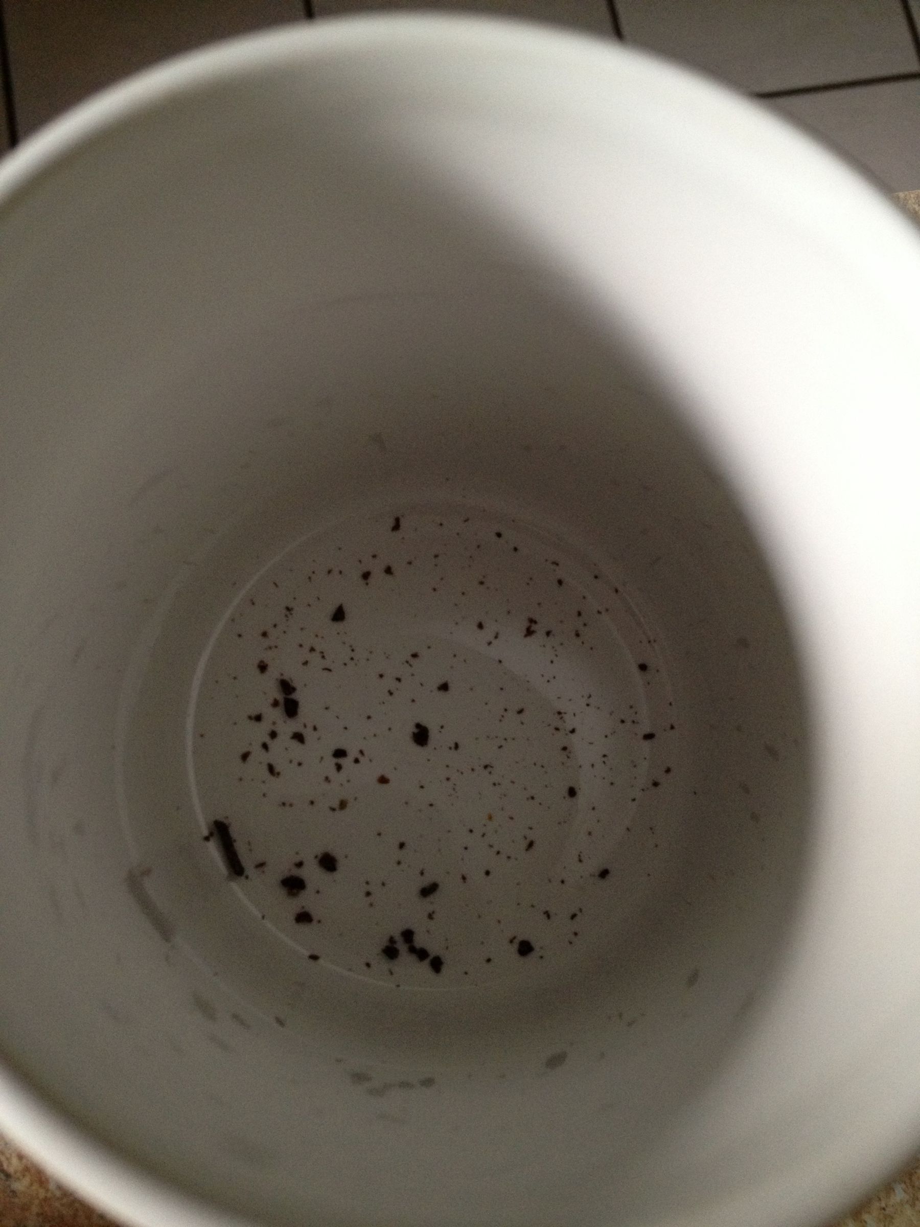 Fresh Clove Grinder 3 Steps Instructables