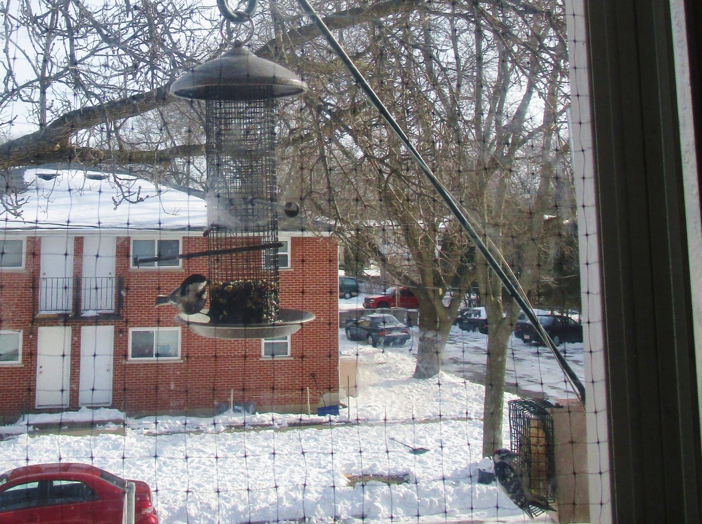 BirdStrike Prevention 7 Steps (with Pictures) Instructables