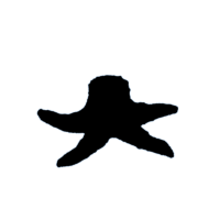 download {{ file.name }}