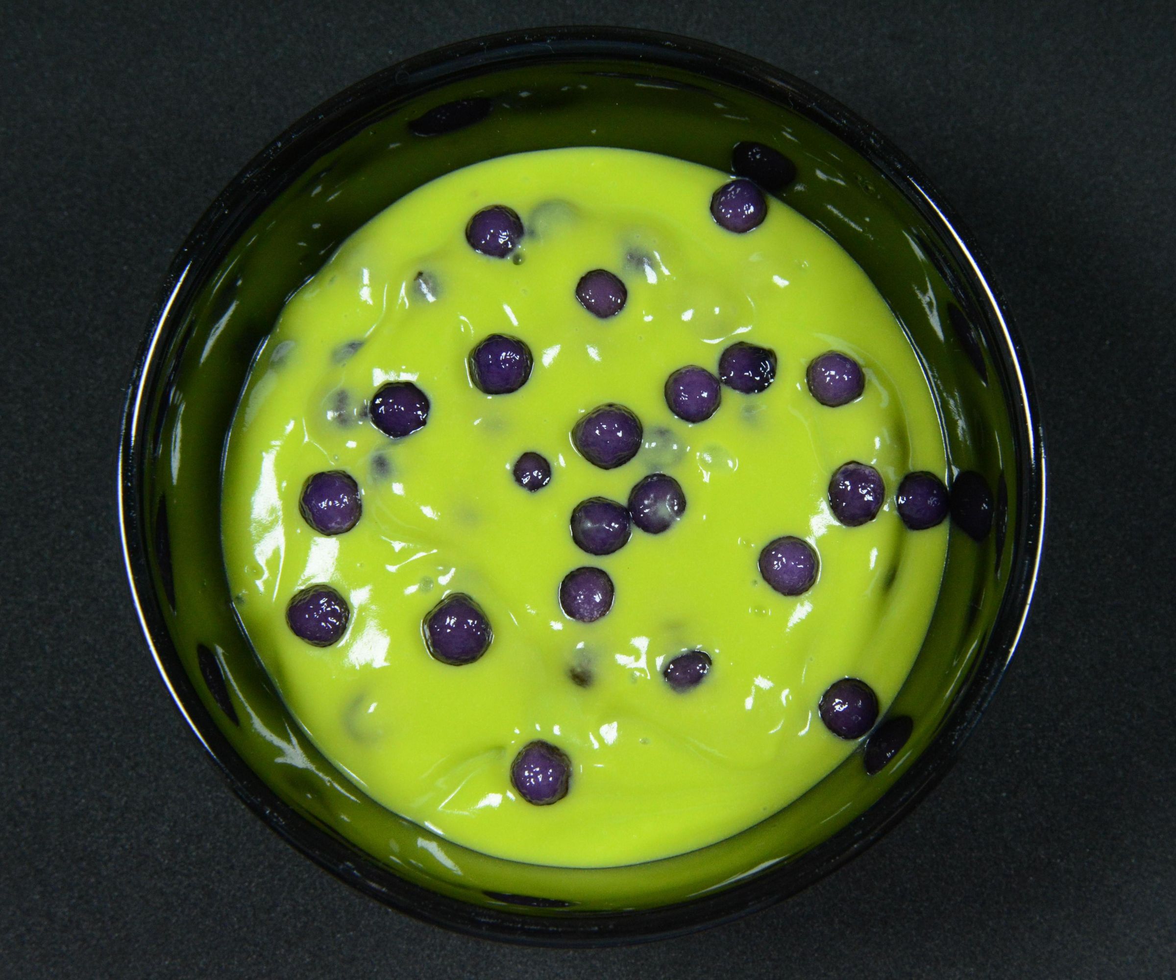 Gross Spider Eggs Boba Pudding 
